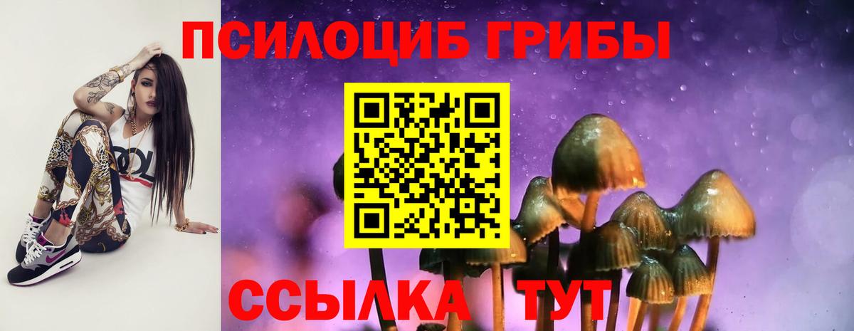 Галлюциногенные грибы мицелий Волгодонск